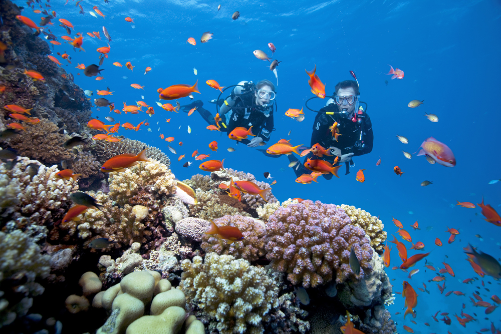 Best Diving in the Cayman Islands