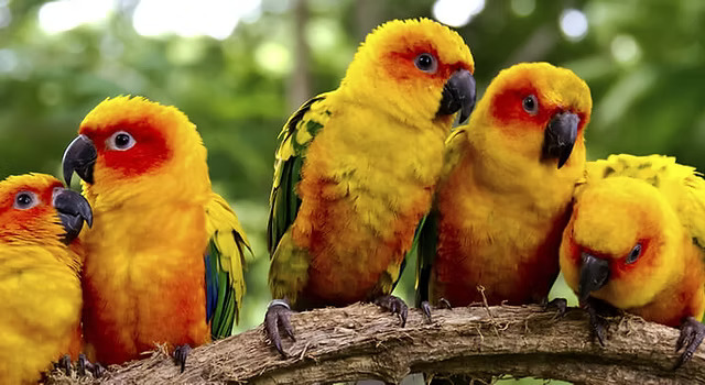Best Zoos & Aquariums in Cayman Islands
