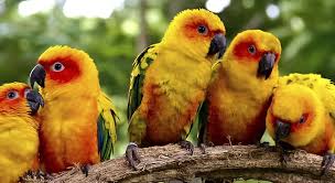 Best Zoos & Aquariums in Cayman Islands